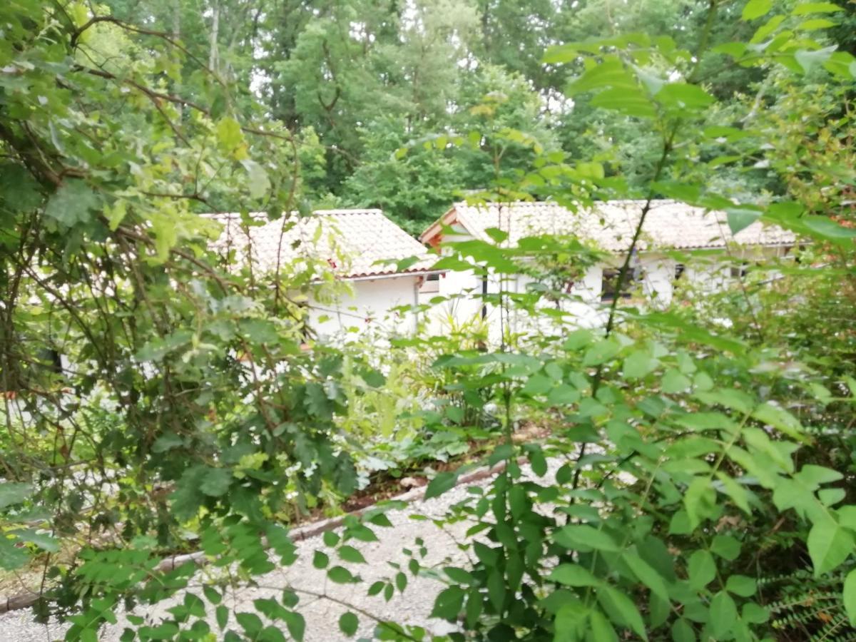 Pause Nature. Maison Ananda A 14 Kms De Toulouse Avec Parking Privatif Lapeyrouse-Fossat Kültér fotó